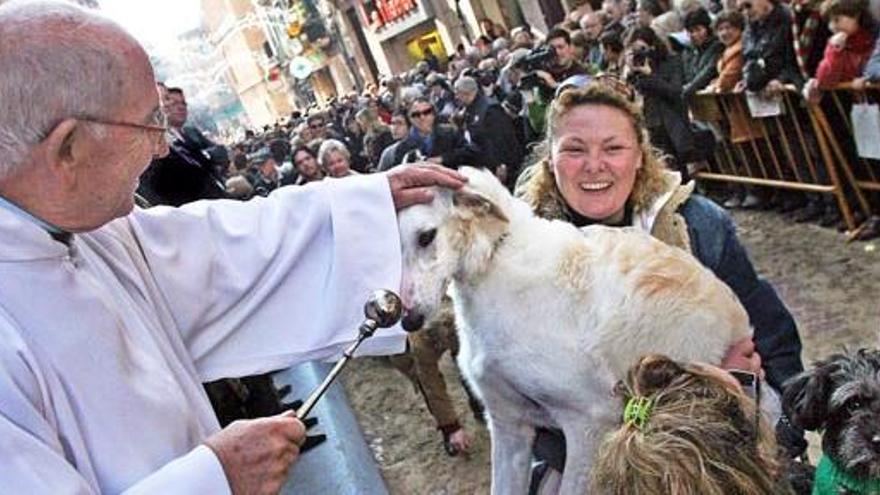 Alle Jahre wieder: Tiersegnungen