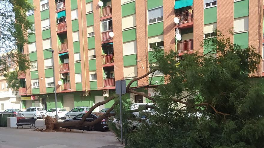 Aumenta la alerta: el viento va a más y ya provoca daños en Castellón