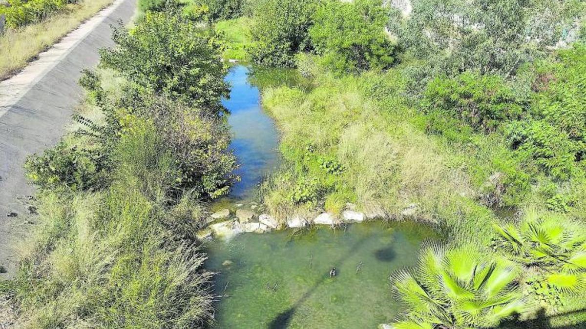 Ánades reales en el Guadalmedina, en octubre de 2020, a la altura del puente de la Concepción. | A.V.