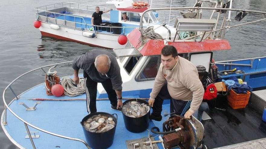 Un barco de pulpo descarga sus capturas en el puerto de Bueu. // Santos Álvarez