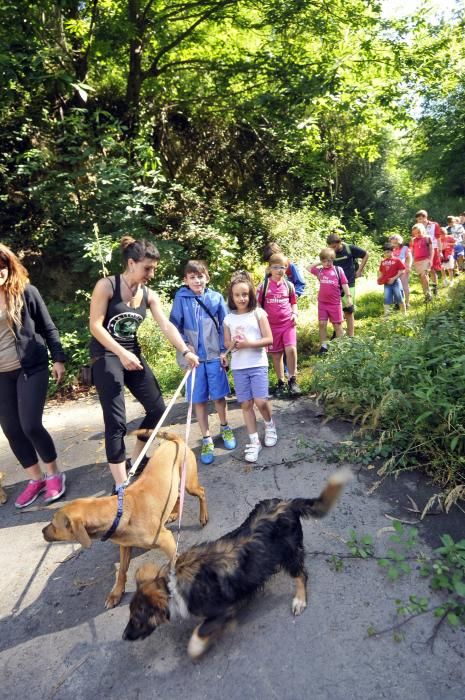 Visita de escolares a la protectora 'El Trasgu' en Mieres