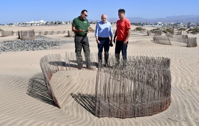 13/05/2019 MASPALOMAS. SAN BARTOLOME DE TIRAJANA. El presiddente del Cabildo de Gran Canria, Antonio Morales, y el consejero de Medio Ambiente y Emergencias, Miguel Ángel Rodríguez, informan del inicio de la segunda fase del proyecto para la recuperación de las dunas de Maspalomas, Masdunas, pionero en el mundo por sus carcterísticas .    Fotógrafa: YAIZA SOCORRO.  | 13/05/2019 | Fotógrafo: Yaiza Socorro