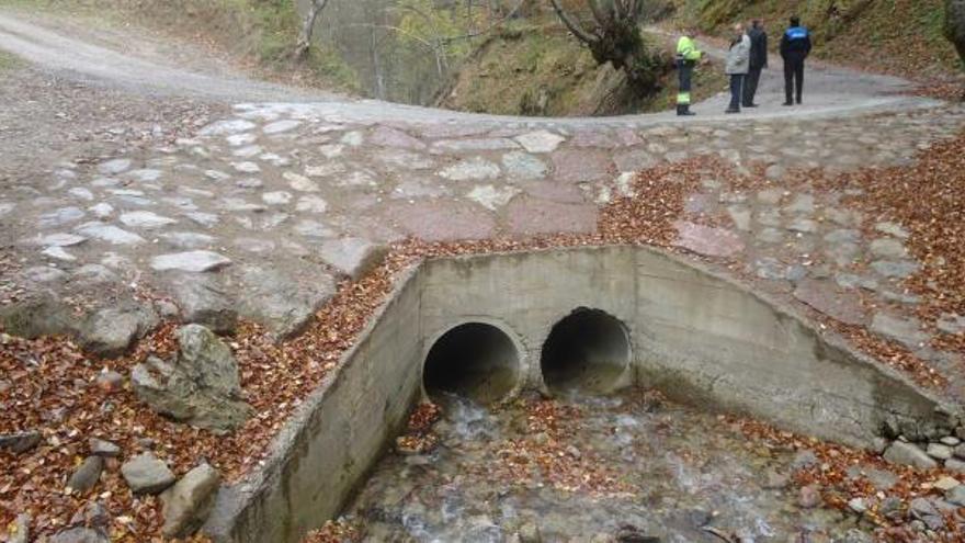 Una de las pistas forestales reparadas durante la primera fase del proyecto del corredor del oso pardo.