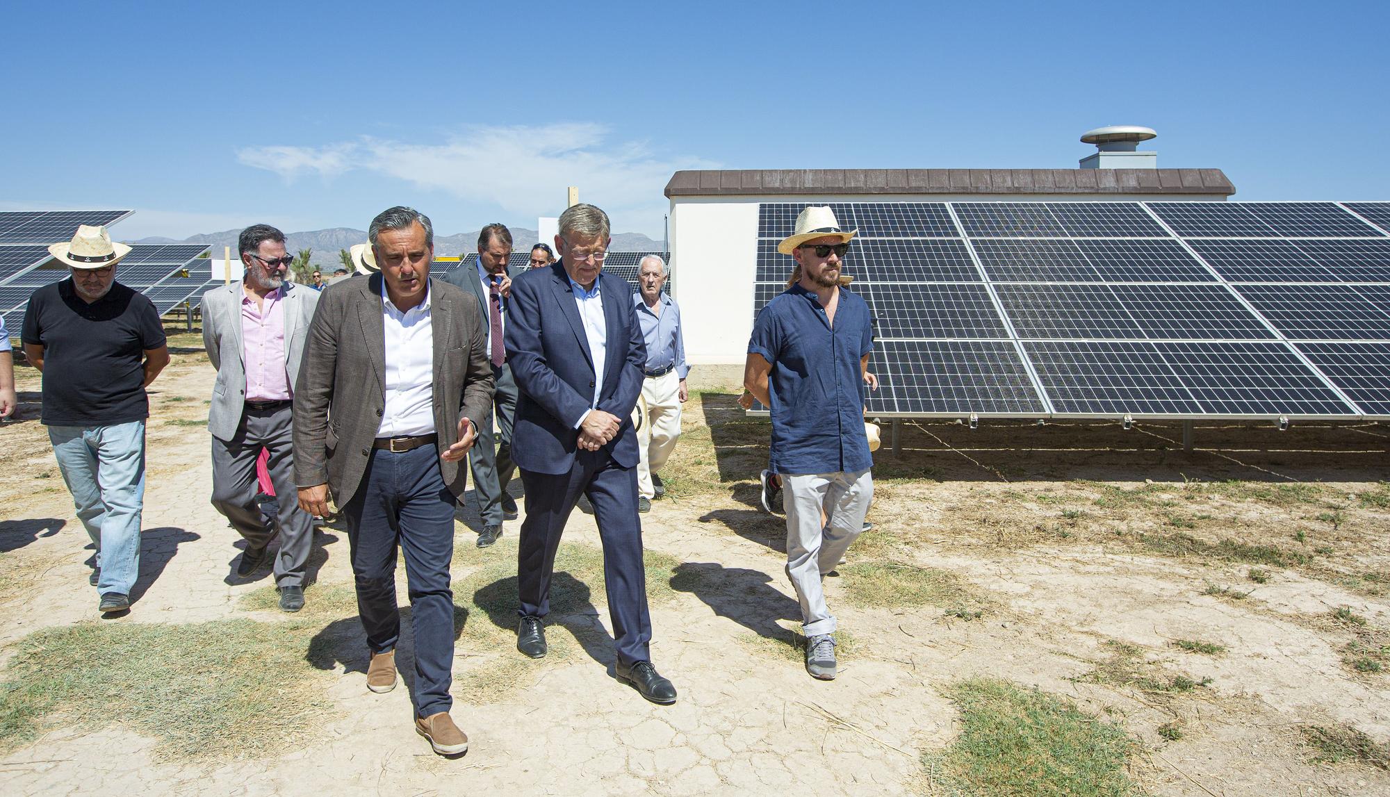 La primera planta solar de la cooperativa eléctrica de Catral ve la luz después de tres años