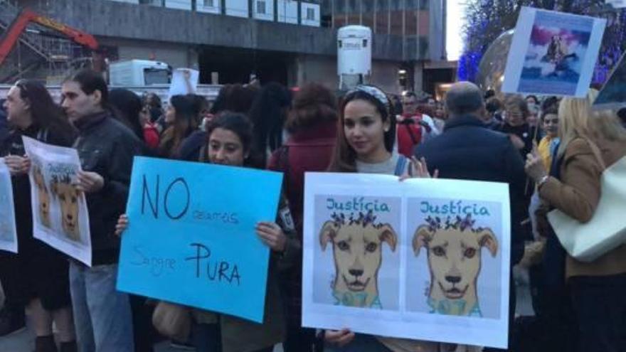Manifestants protesten per la mort de la gossa, dissabte a Barcelona
