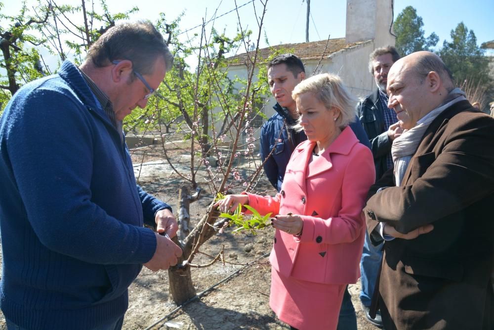 Heladas en la Región de Murcia