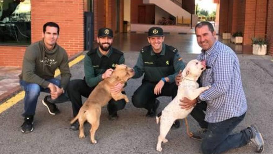 Los agentes con los perros recuperados y su dueño.