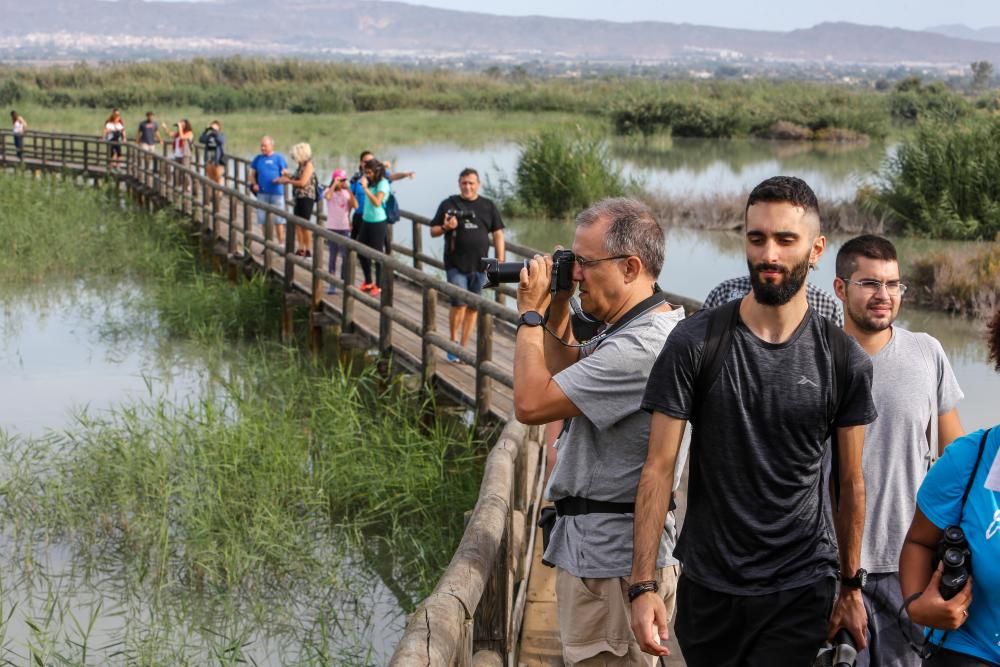 La UMH organiza una visita a El Hondo