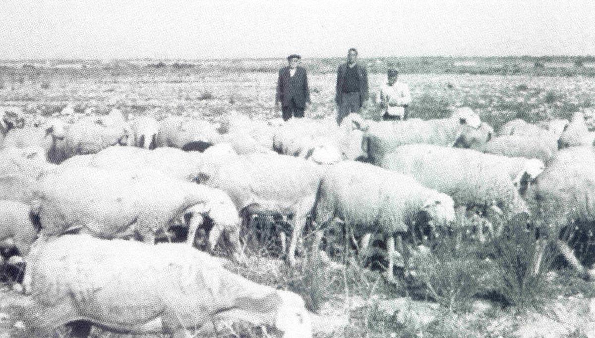 Vías pecuarias: la ruta de la sal
