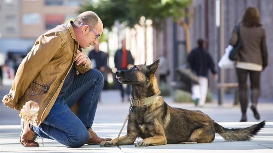 Las Cortes piden perros escolta para víctimas de malos tratos