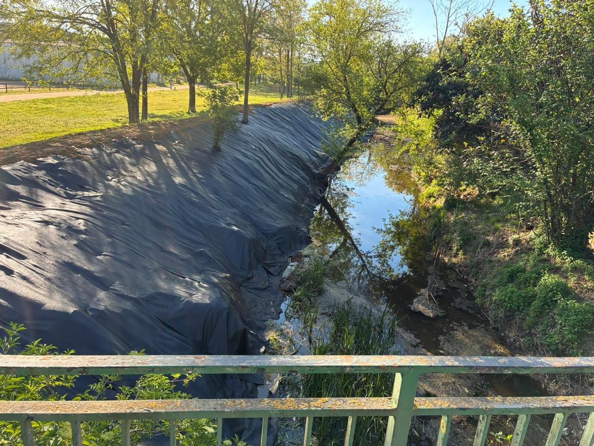 Instal·lació de lones per evitar el rebrot de canya en una llera