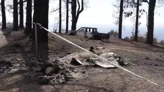 Un contenedor quemado tras una fiesta se baraja como posible origen del incendio forestal en La Palma