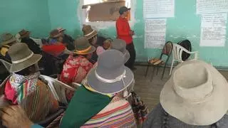 Madre Coraje y la Diputación se unen a 50 familias de Perú para proteger sus alpacas como fuente de subsistencia