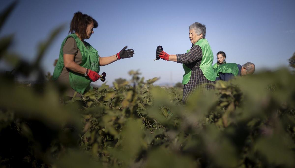 El sector agroalimentari consolida el seu rècord de vendes a l’exterior