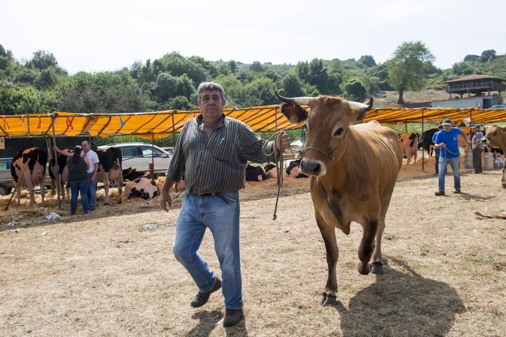 Feria de ganado en Santullano