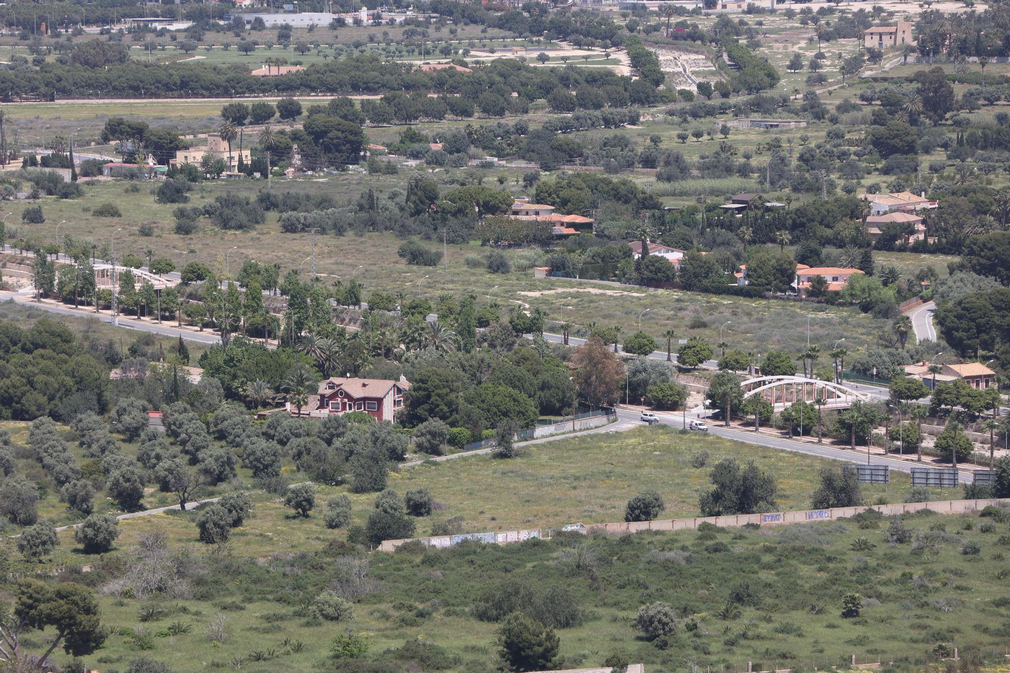 Vista de la huerta de Alicante