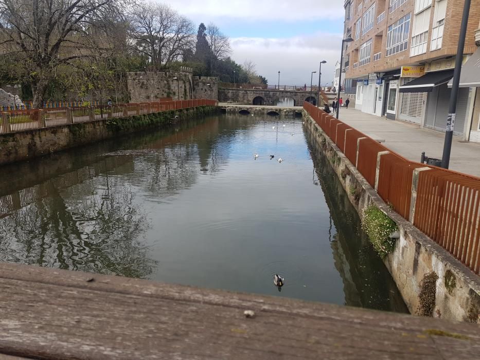 "Mareas vivas" en Galicia.