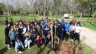 Una veintena de centros escolares de Córdoba inician la plantación de más de 200 árboles en el parque Cruz Conde