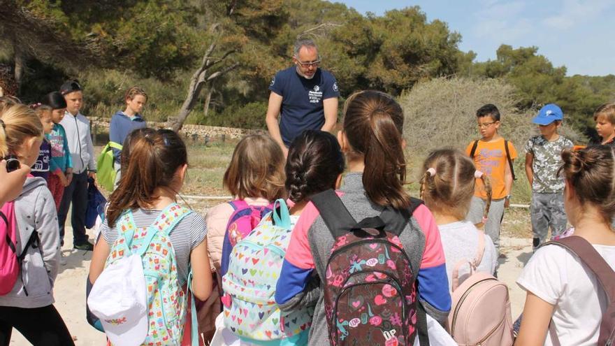 Alumnos han participado, este jueves, en un taller y en la suelta de dos tortugas marinas recuperadas.