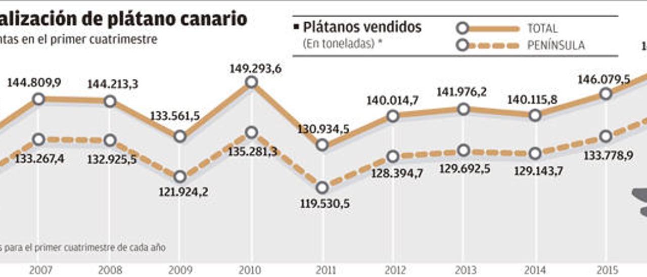 El buen tiempo y las mejoras técnicas llevan al plátano a un máximo histórico