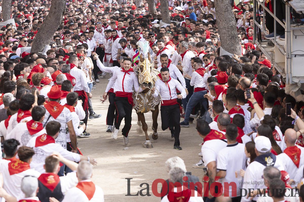 Así se ha vivido la carrera de Los Caballos del Vino en Caravaca