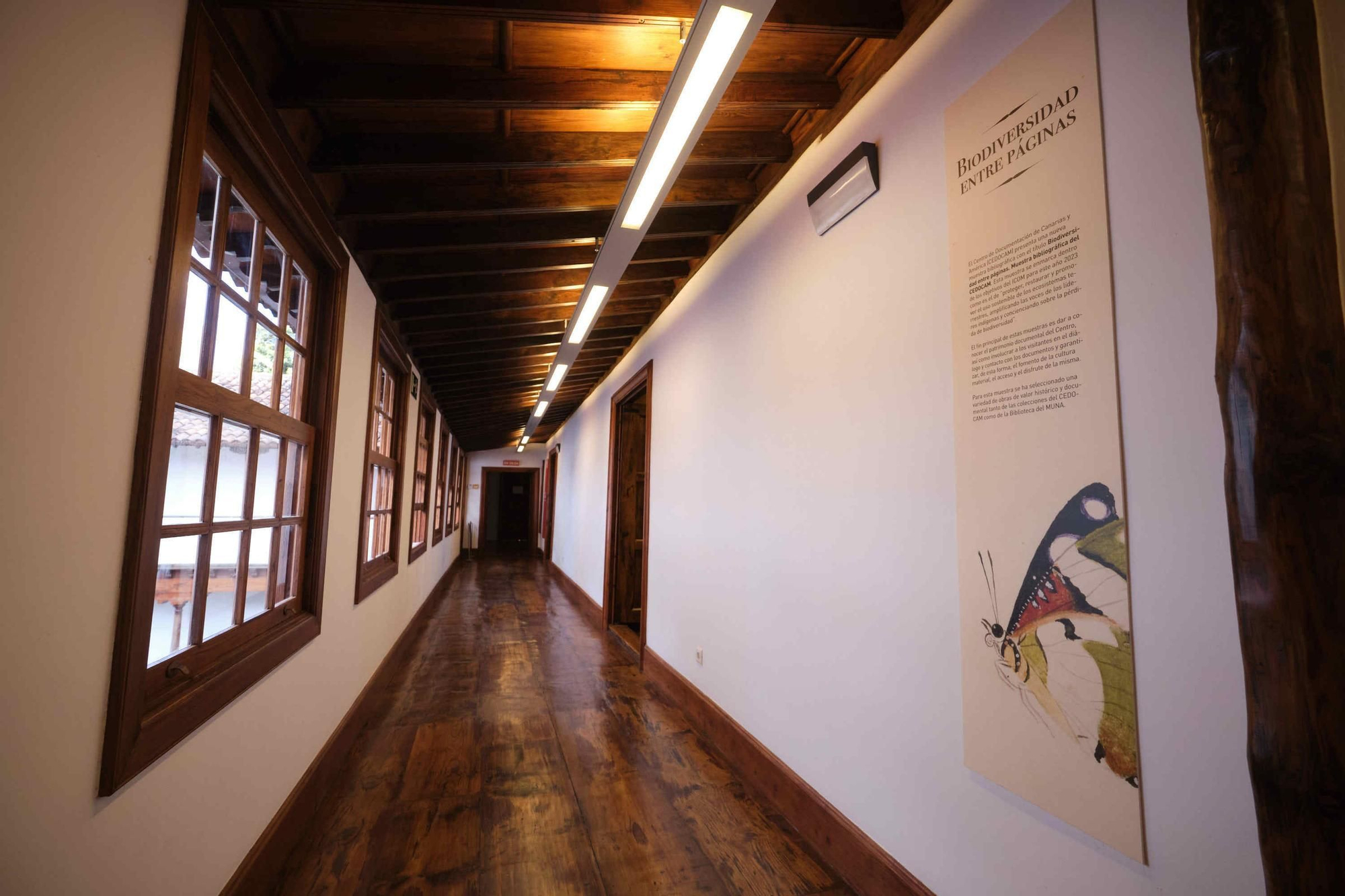 El Cabildo de Tenerife inaugura la muestra temporal 'Biodiversidad entre páginas'