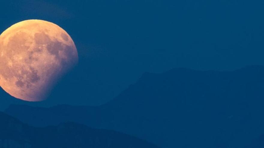 Hermosa Luna, fotografiada el verano pasado.