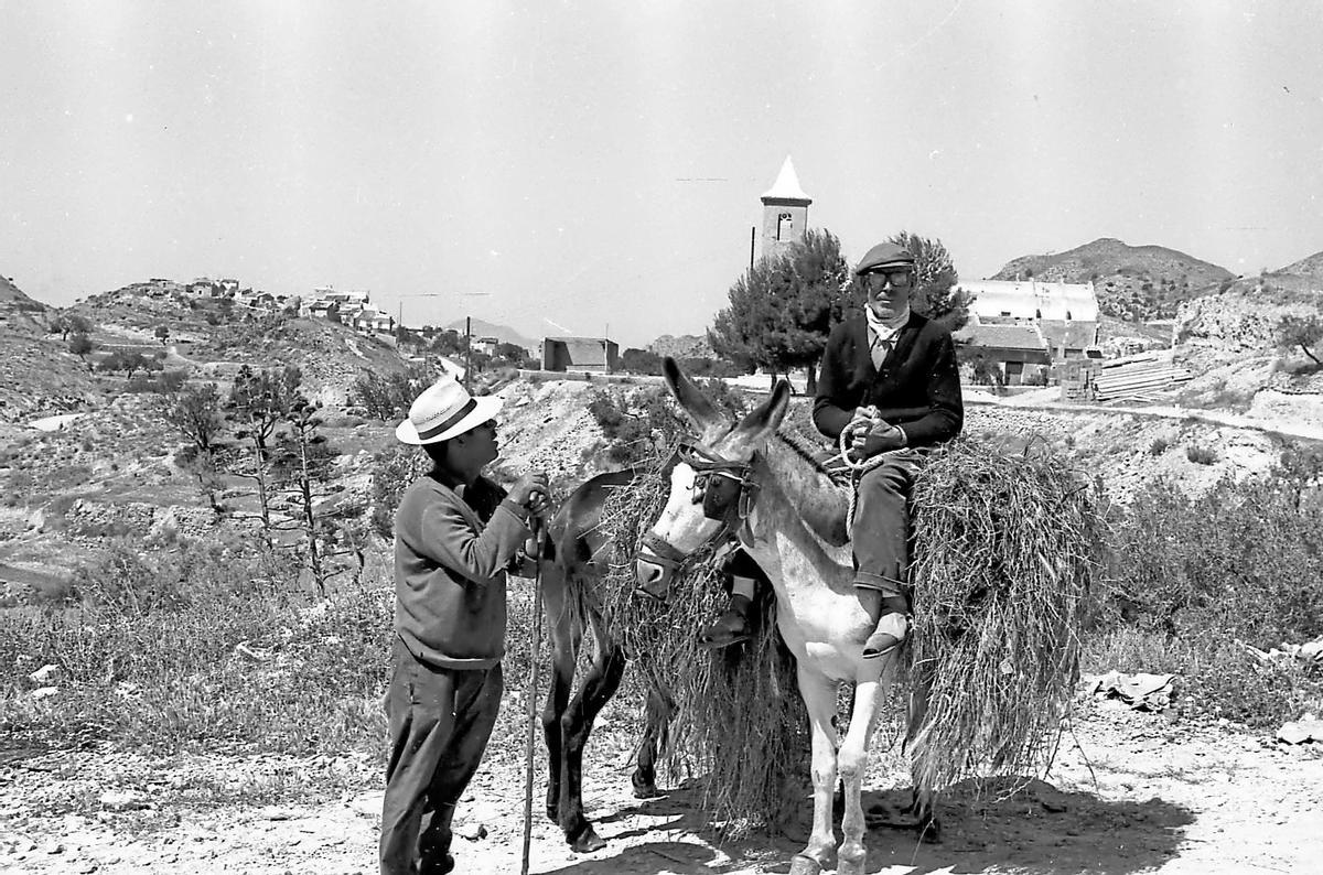Dos hombres junto a dos burros en el campo.