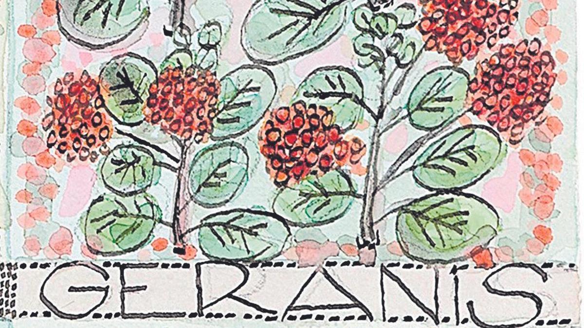 Il·lustració dels geranis.