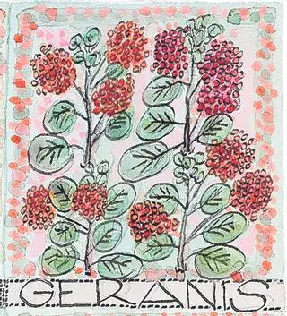 6 plantes de jardí - 2/3