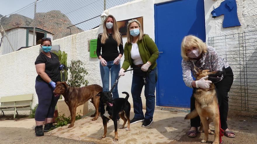 Doscientos perros y gatos buscan dueño en el Refugio de Animales de La Nucía
