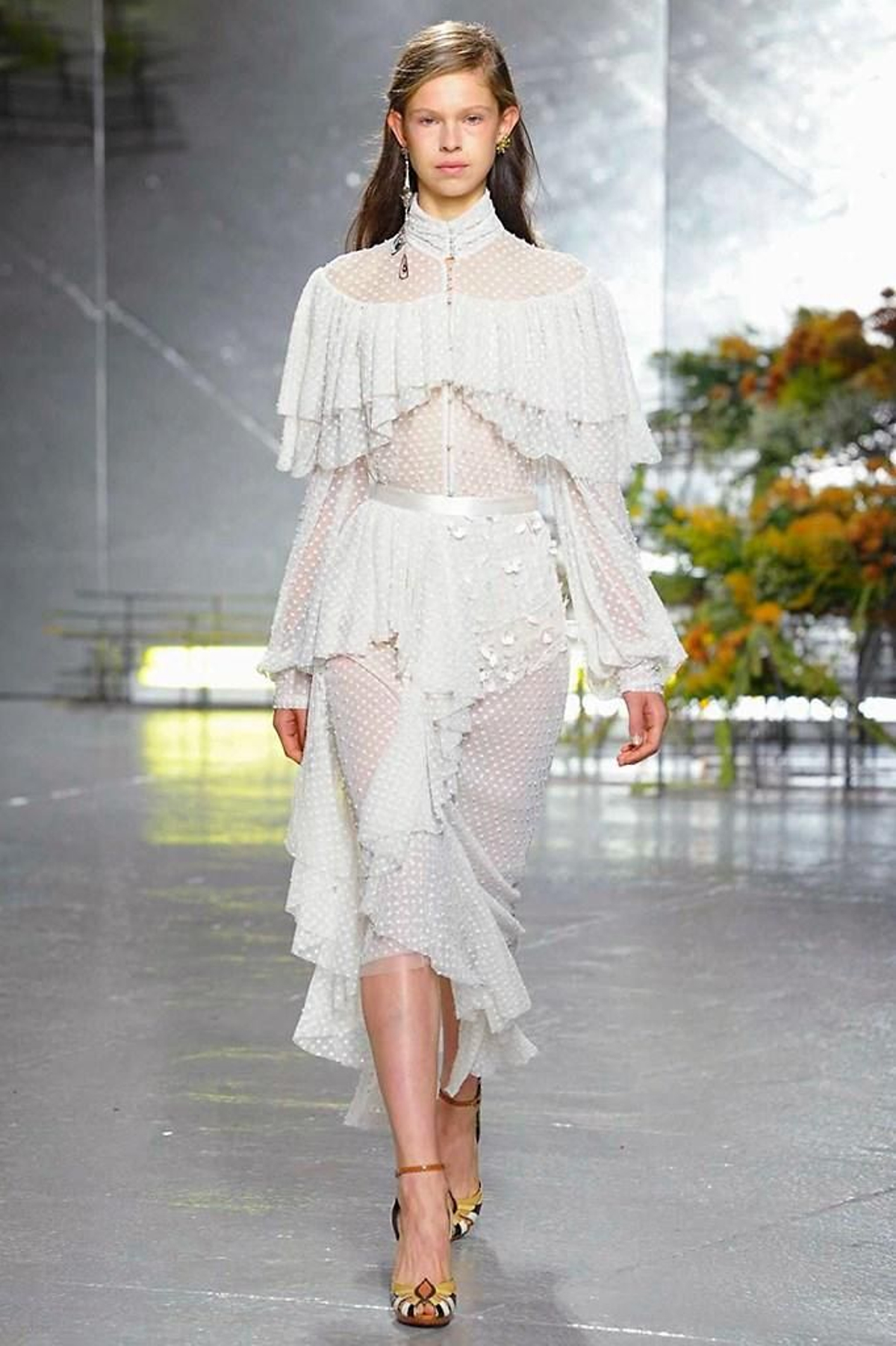 Rodarte