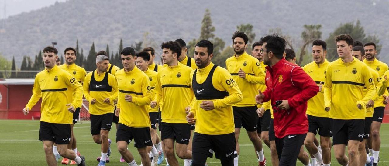 Hoy regresan los internacionales del Mallorca a los entrenamientos.