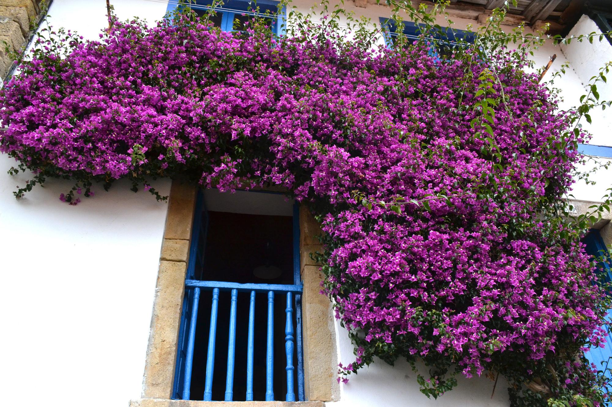 El puerto de Tazones es un tesoro