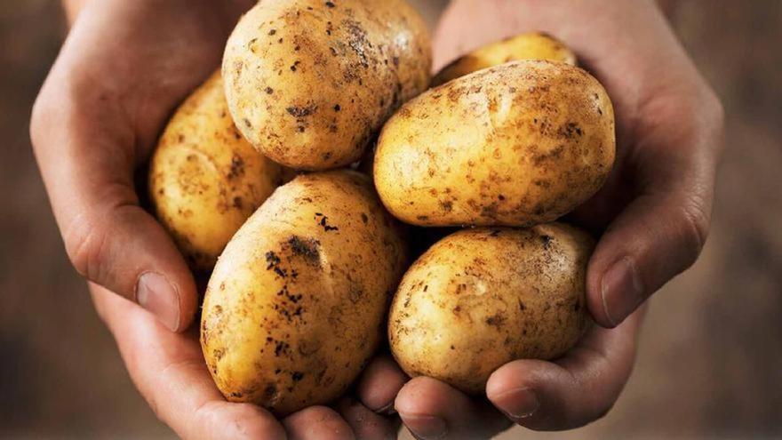 ¿Dónde guardar las papas para que duren más? Olvídate de la nevera
