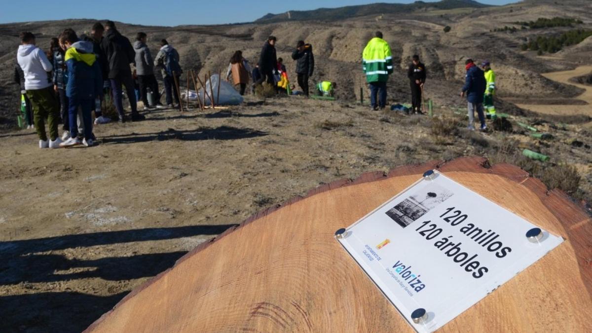 La campaña es 120 anillos, 120 árboles.