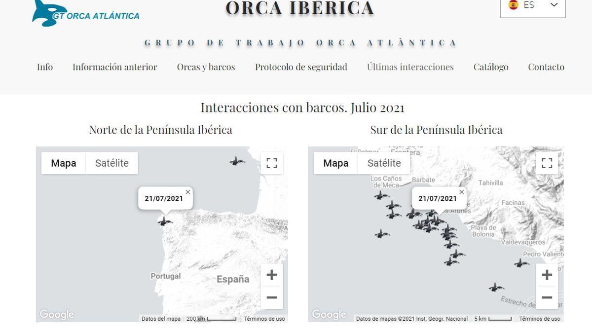 Mapas del Grupo de Trabajo Orca Atlántica: a la izquierda, el que registra el avistamiento en Cíes; a la derecha, los notificados al sur de la Península Ibérica este mes