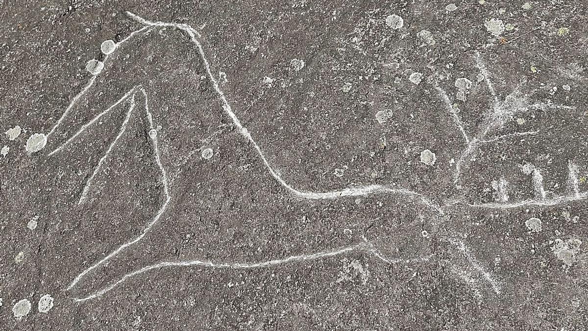 Uno de los petroglifos que fueron dañados rascando sus figuras con una piedra. |   // CONCELLO DE CAMPO LAMEIRO