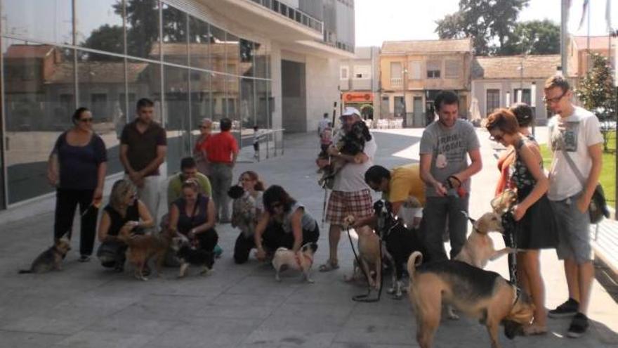 Convocados por Facebook. Protesta con perros ante el Ayuntamiento