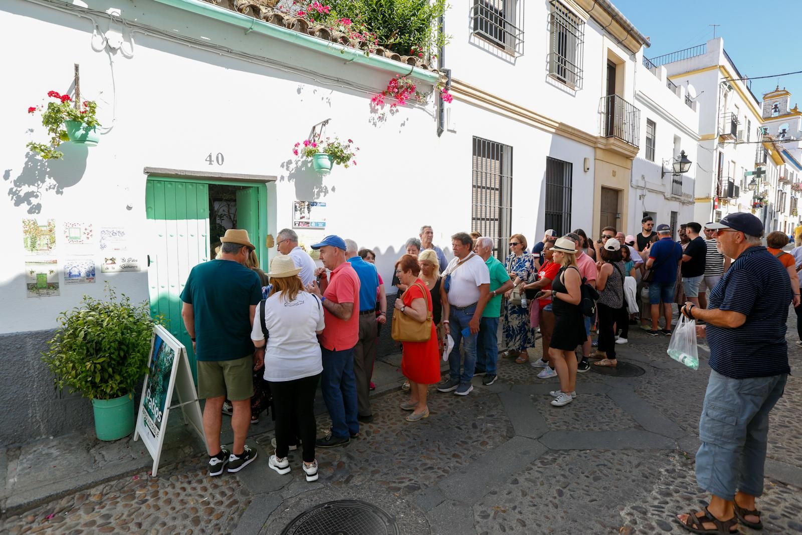 Los patios brotan en Córdoba