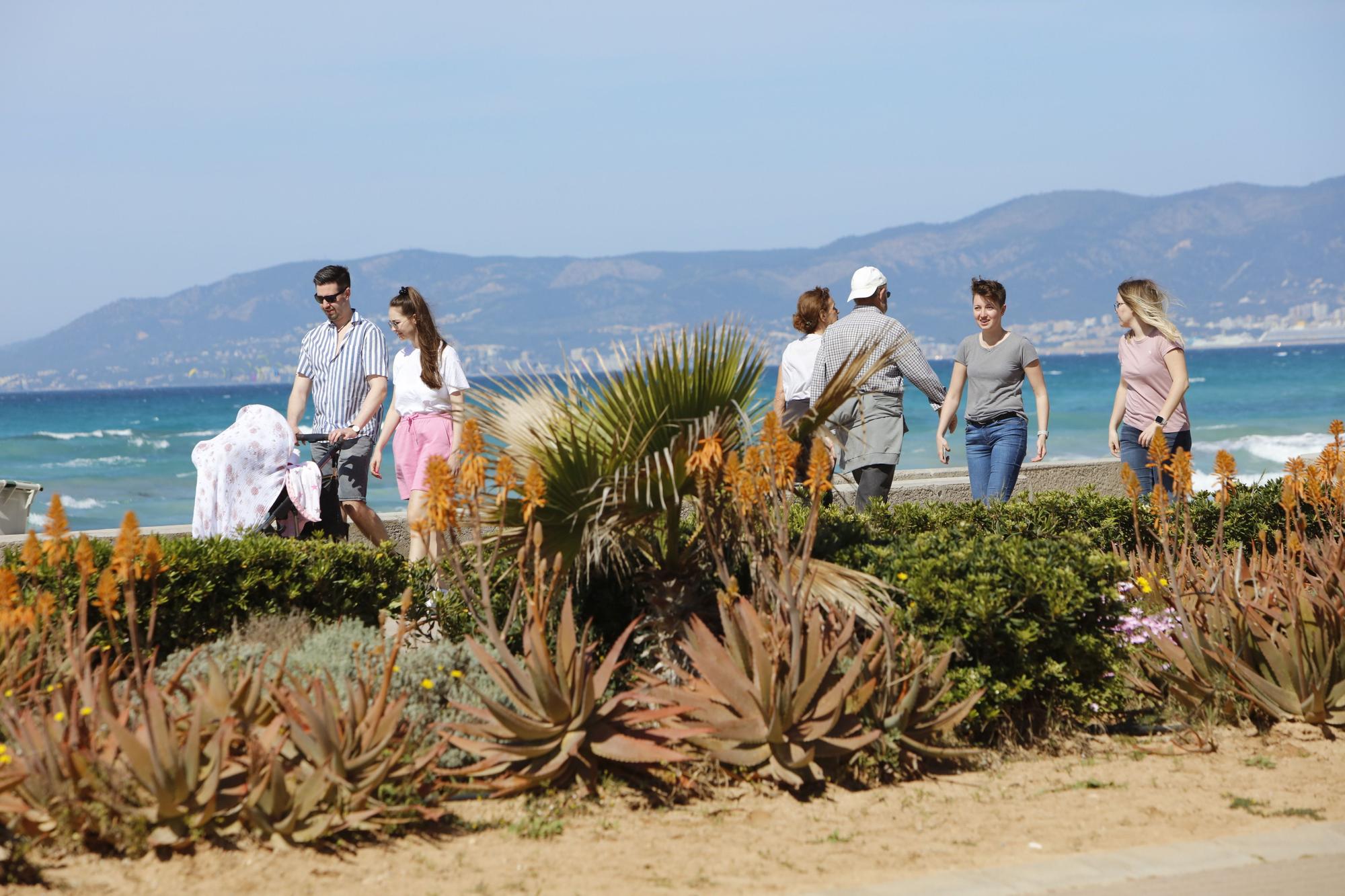 Die Playa de Palma ist wieder zum Leben erwacht