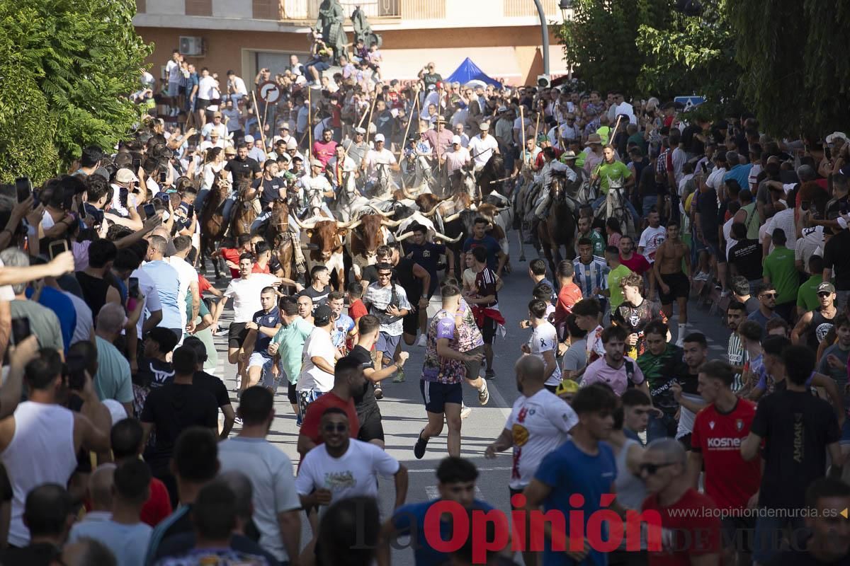 El segundo encierro de las Fiestas de Moratalla se salda con un herido