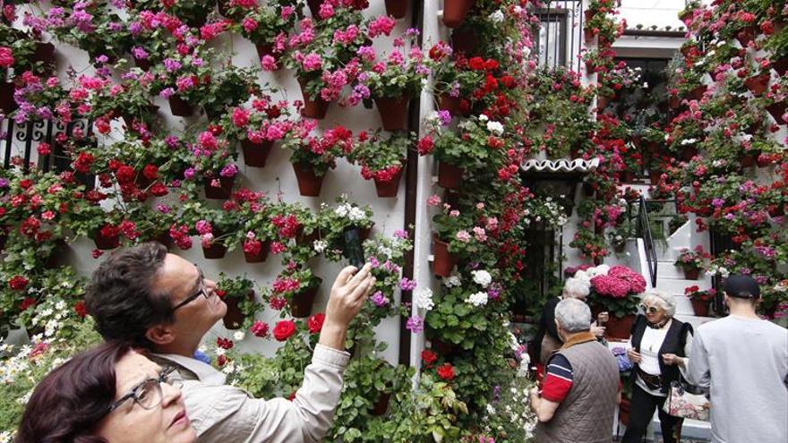 ¿Cuál es el criterio a seguir para garantizar el futuro de los Patios?