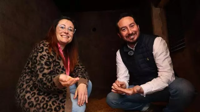 VÍDEO: Así es la Destilería Cantábrico en Las Regueras