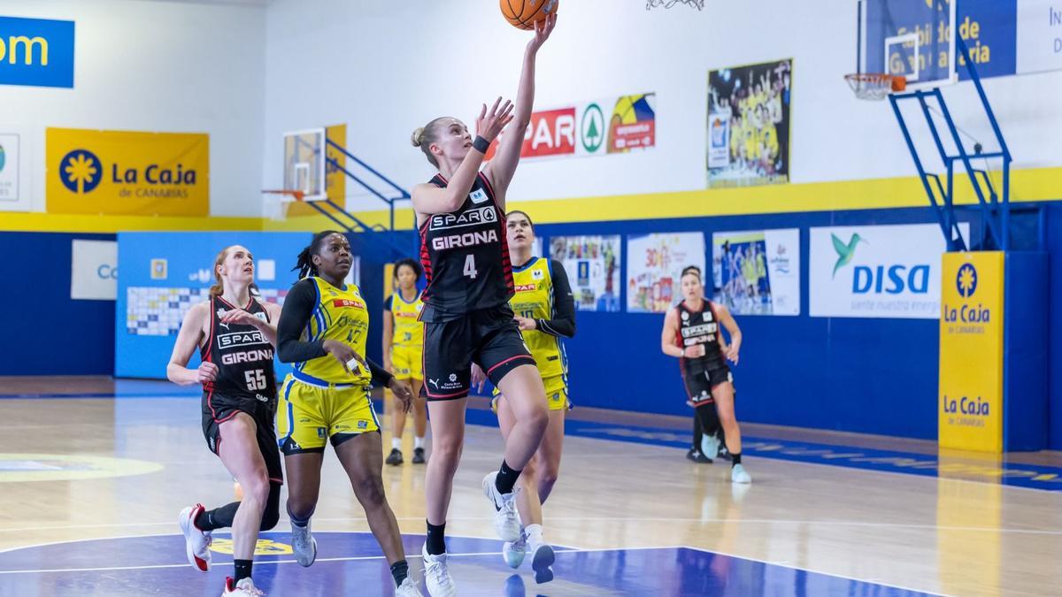 Jocyte buscant una entrada a cistella