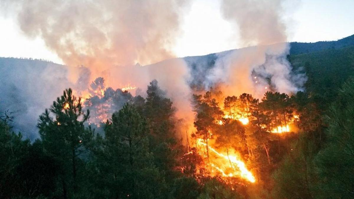 Las altas temperaturas elevan el riesgo de incendios forestales en Extremadura