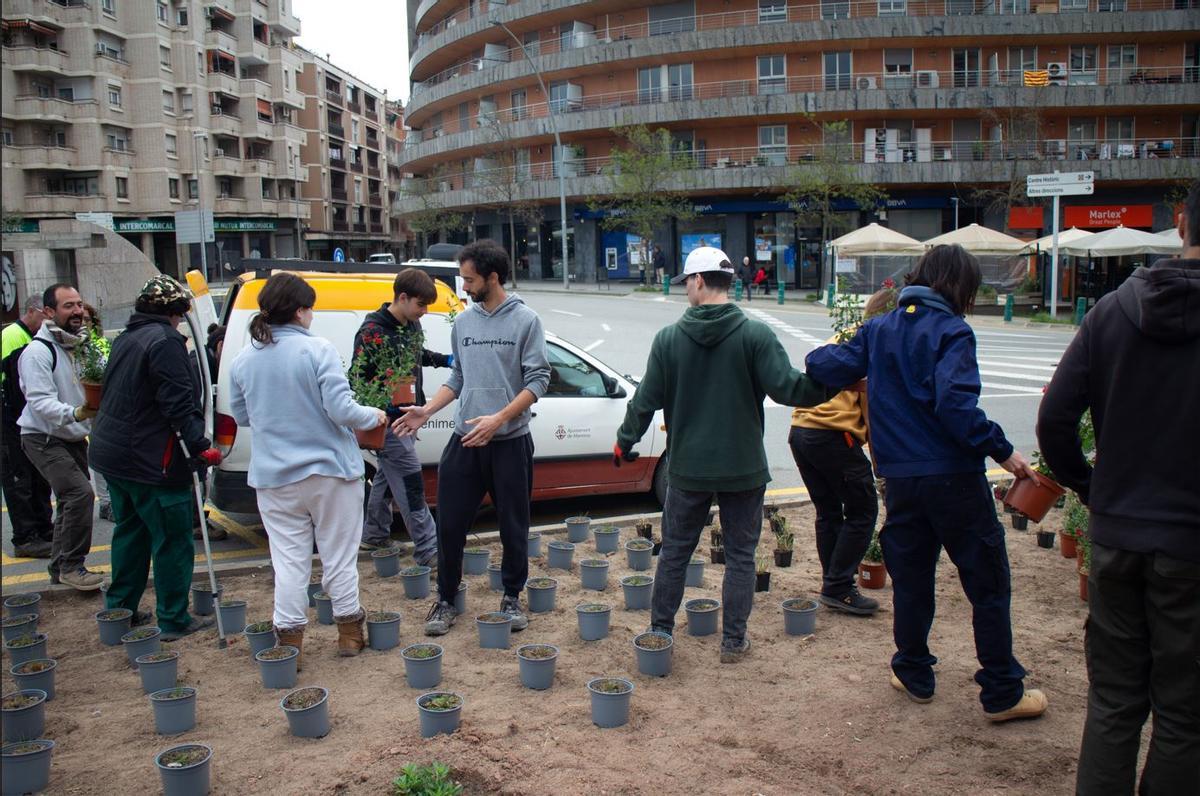 Els alumnes de l'Escola Agrària de Manresa fent realitat el parterre a la plaça Bages