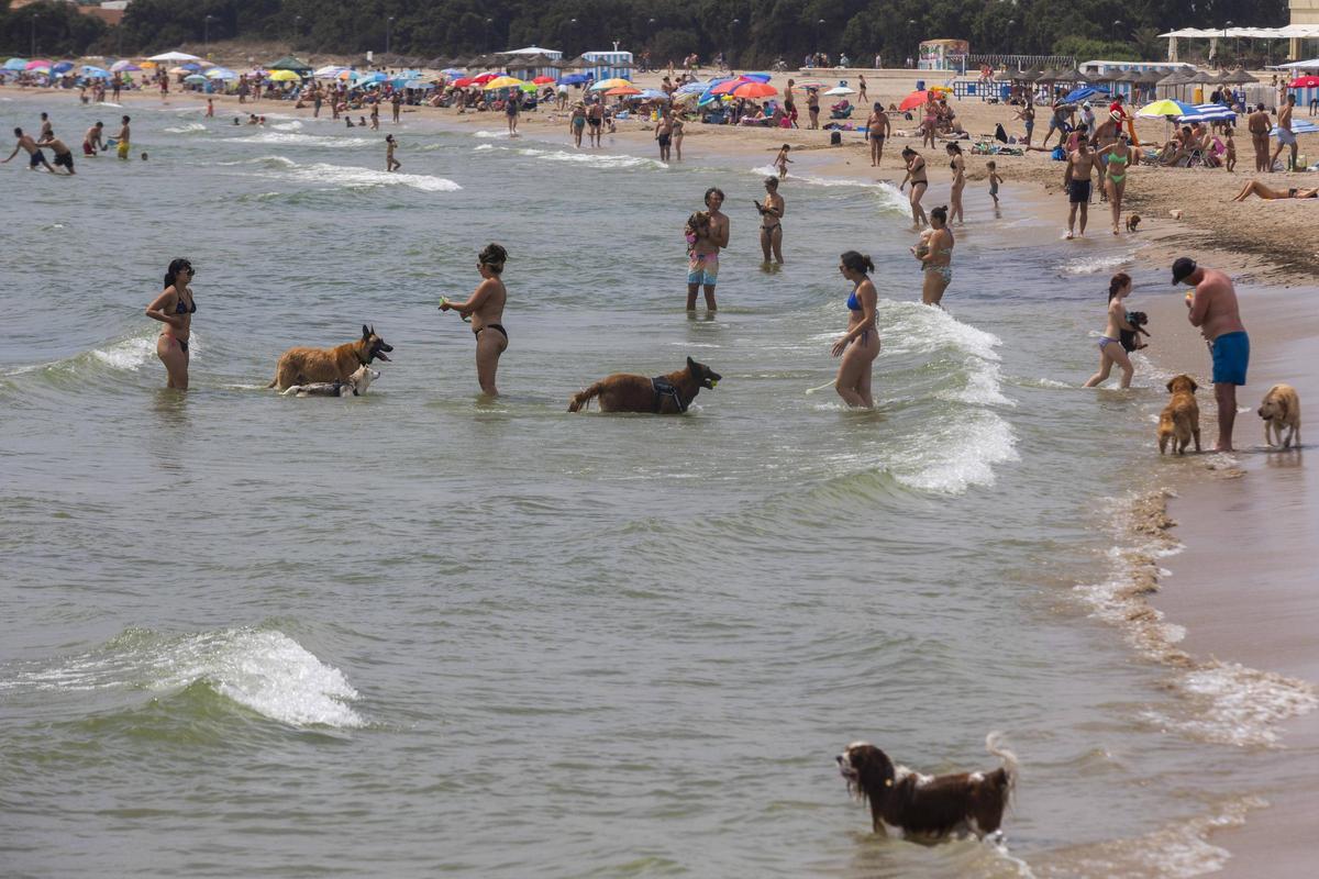 La playa de Perros de Pinedo La playa de Perros de Pinedo