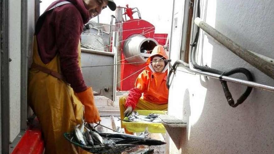 Un pescador con caballa en la campaña del año pasado. // FdV