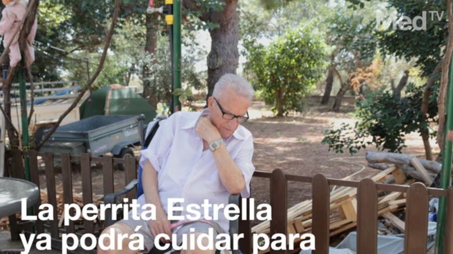 La perrita Estrella ya podrá cuidar para siempre de Francisco